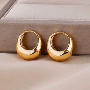 Stainless Steel Hoop Earrings